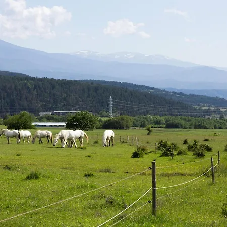 Hotel & Sauna Included Razłog