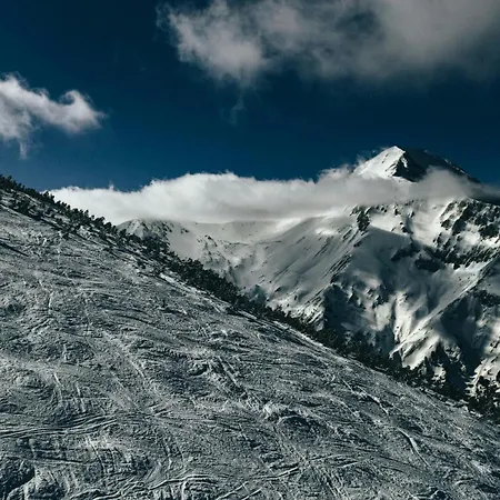 & Restaurant Included Отель