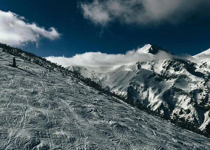 & Restaurant Included Отель